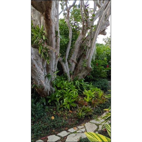 Garden Walk